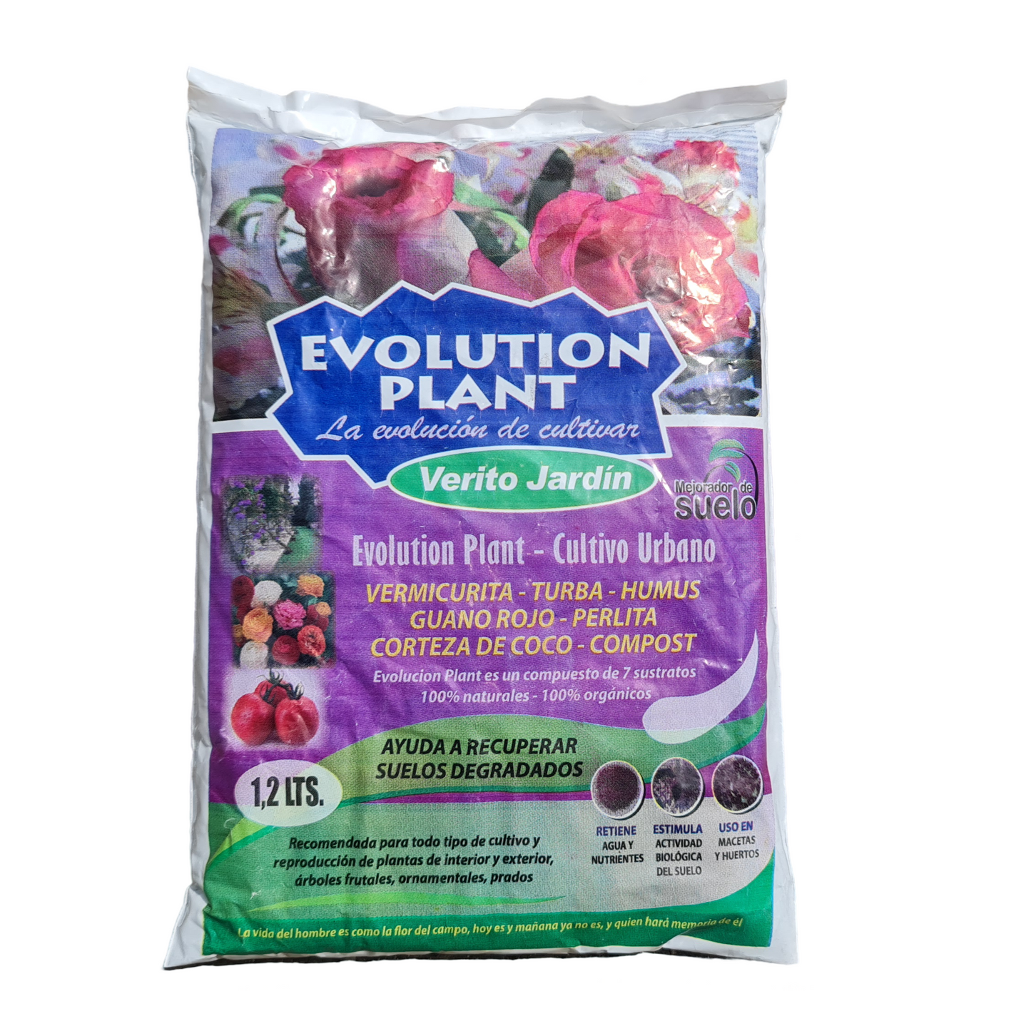 Evolution Plant