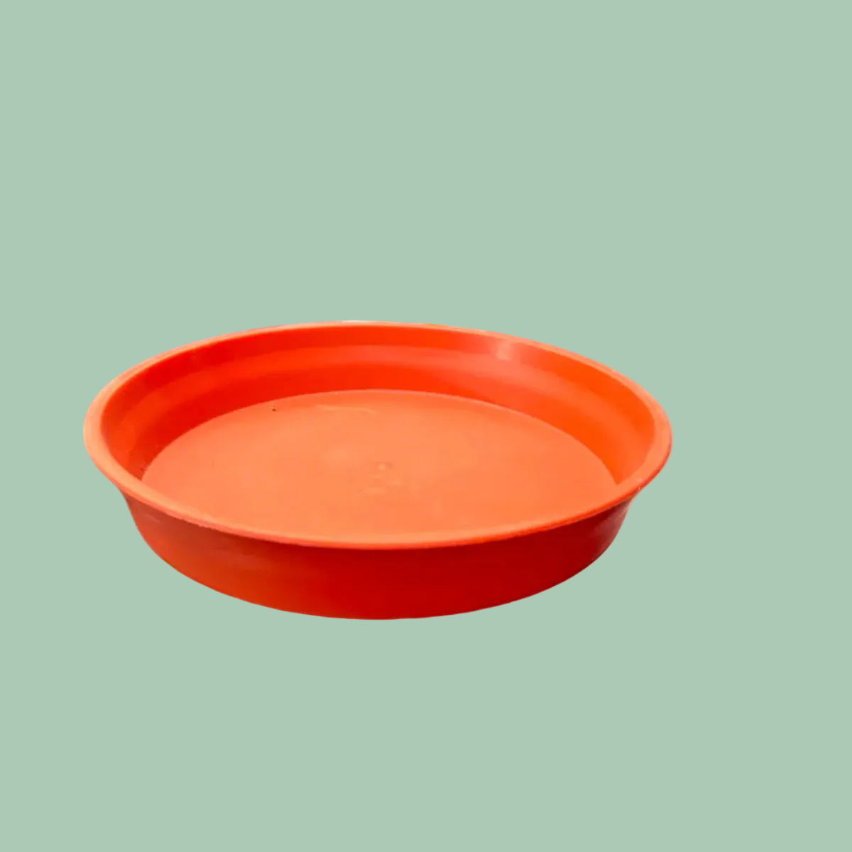 Plato Terracota N 21