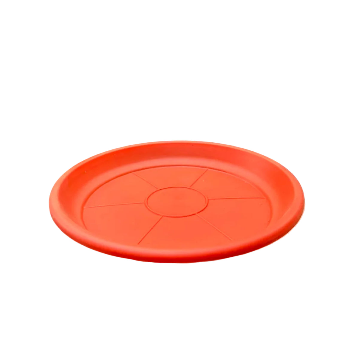 Plato Terracota N 30