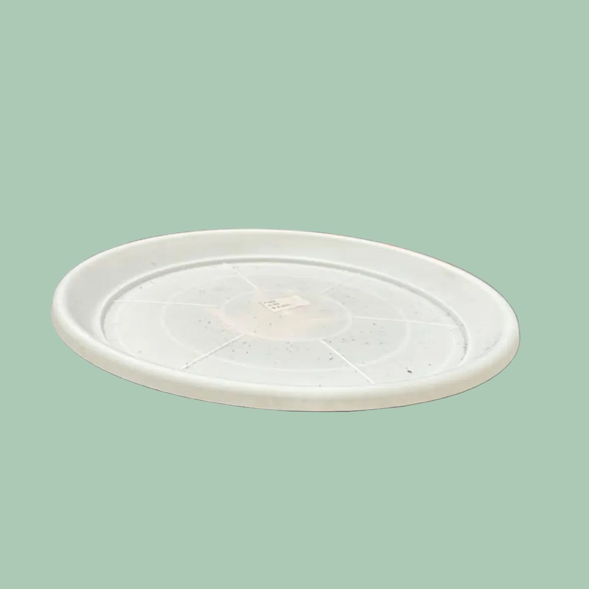 Plato Blanco N 50