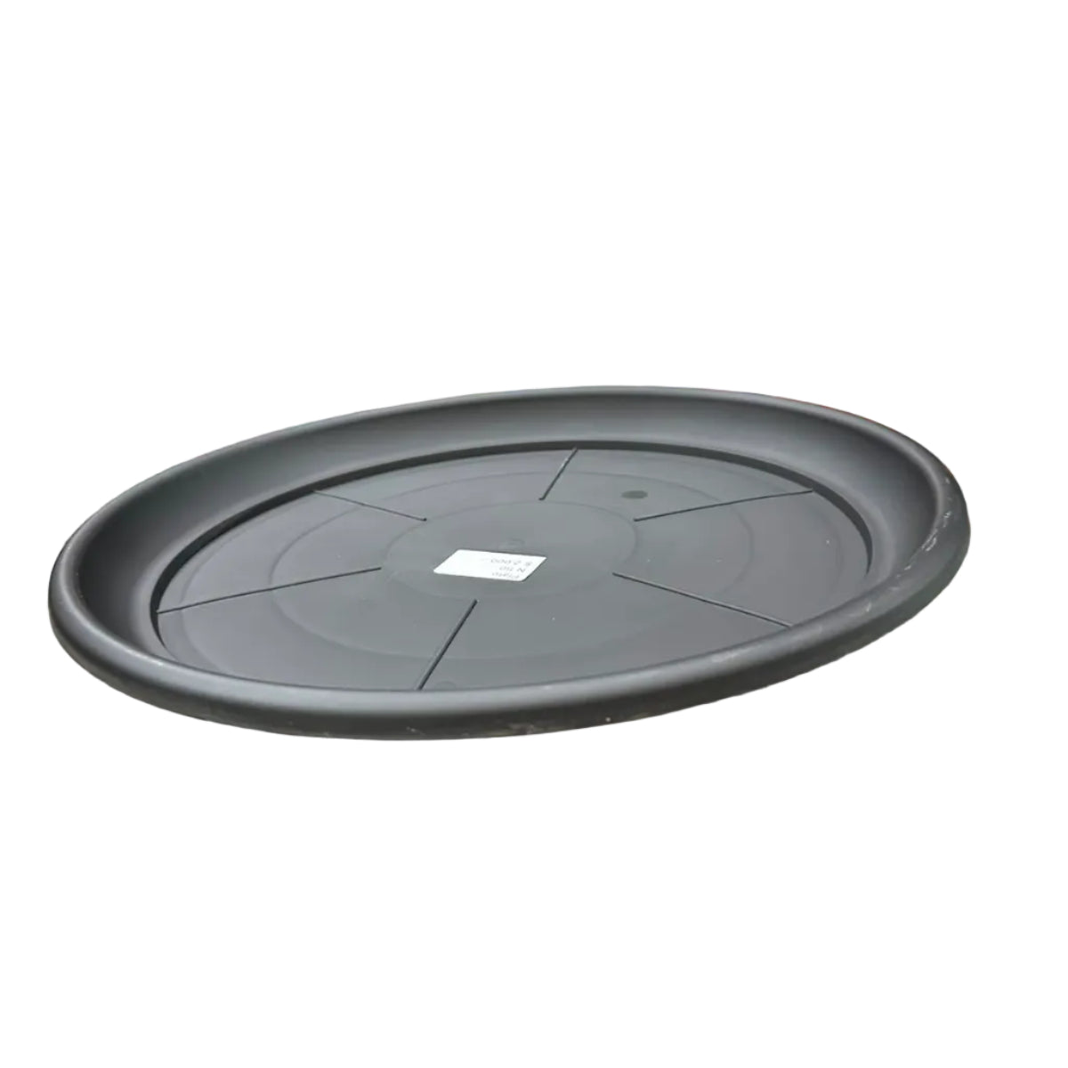 Plato Negro N 50