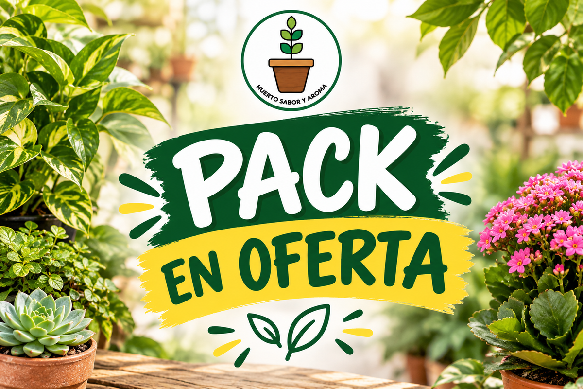 Pack en oferta