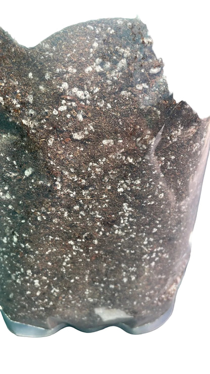 Sustrato de Suculenta 1 kilo