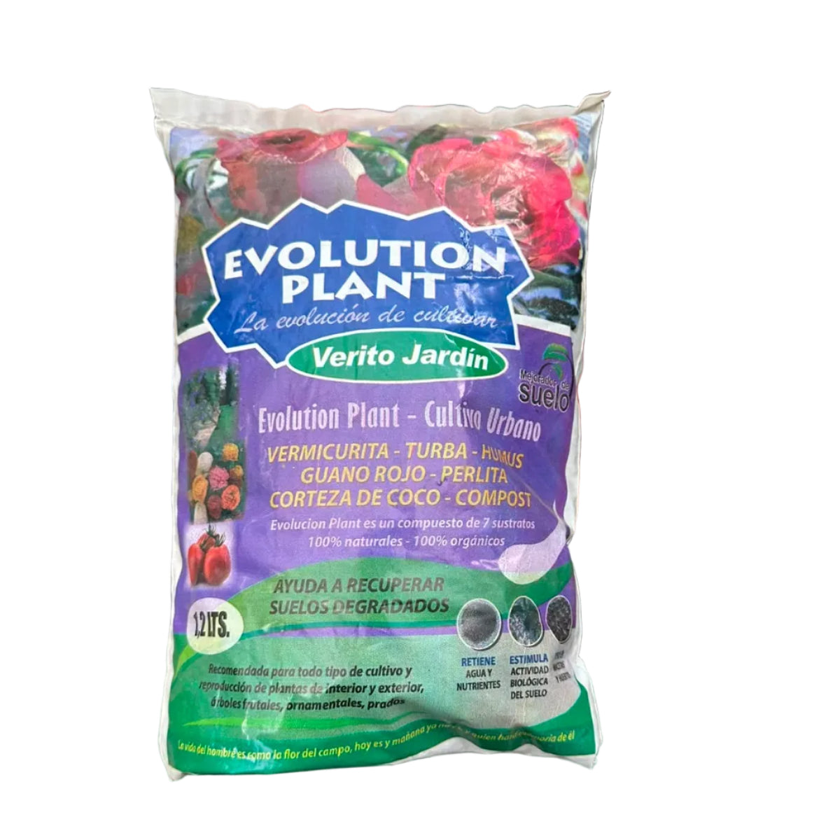 Evolution Plant