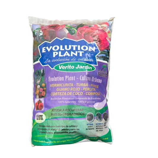 Evolution Plant