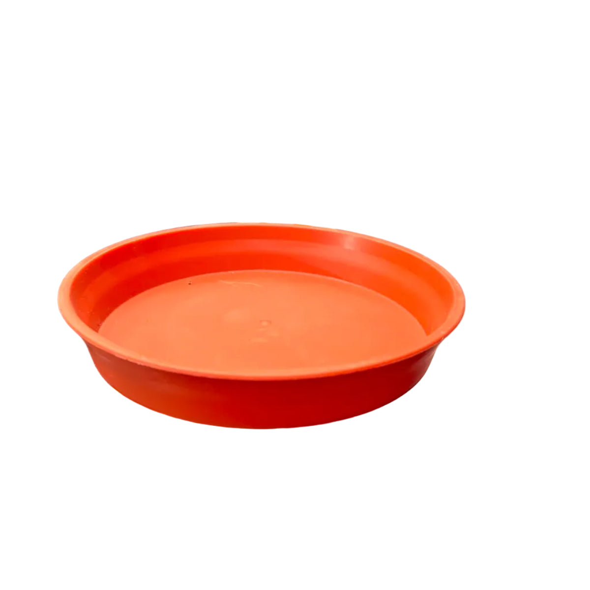 Plato Terracota N 21