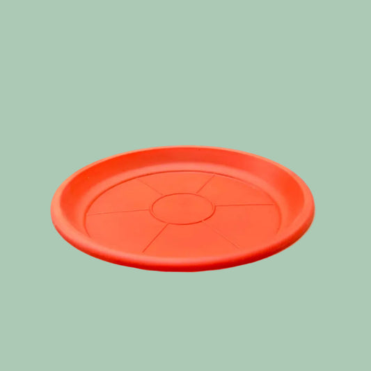 Plato Terracota N 30