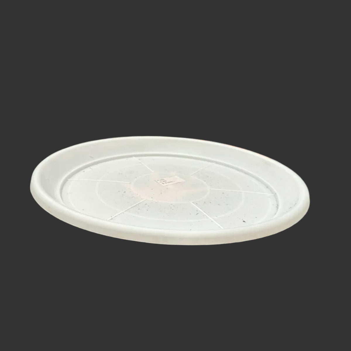 Plato Blanco N 50