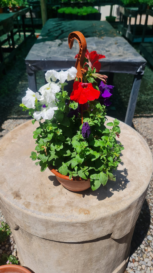 Petunia Mix MC19